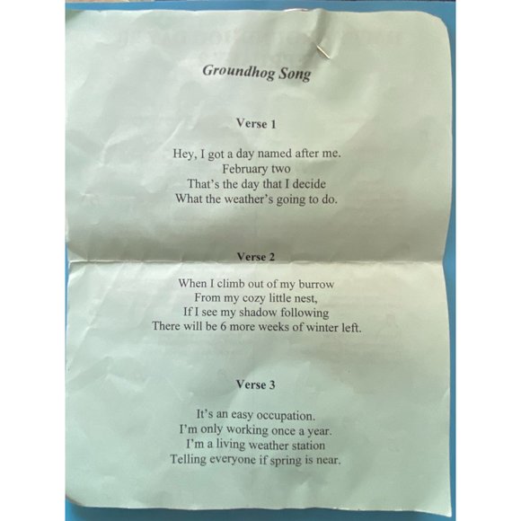 Vintage Rocking Jimmy VFW Fundraiser Groundhog 2000 Pinback Button - Picture 3 of 3